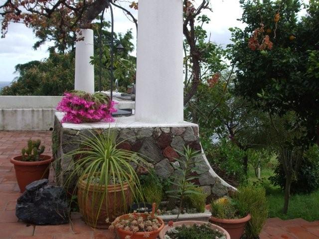 flora